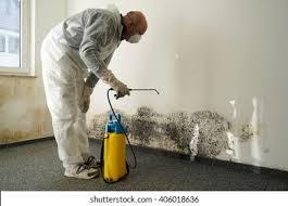 Best Biohazard Mold Removal  in Parma Heights, OH